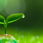 通信制高校サポート校